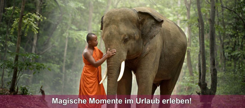 asien-rundreise-magische- momente-urlaub-erleben Erleben Sie eine unvergessliche Asien Rundreise und entdecken Sie die Schönheit des Dschungels. Auf unserem Bild sehen Sie einen traditionellen Mönch, der einen Elefanten streichelt und Ihnen zeigt, wie friedlich und harmonisch Mensch und Natur zusammenleben können. Wenn Sie auch Teil dieser unvergesslichen Erfahrung werden möchten, dann sollten Sie sich unsere Urlaubsangebote ansehen. Wir bieten Ihnen eine breite Auswahl an Rundreisen, bei denen Sie die Kultur und Natur Asiens hautnah erleben können.