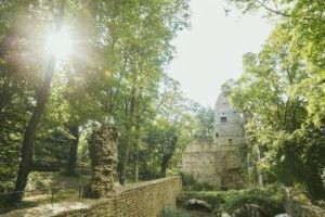 Klosterruine Disibodenberg Willkommen zum Kloster Disibodenberg, einem historischen Juwel im Nahetal, das Sie auf diesem Bild bewundern können! Buchen Sie bei uns Touren durchs Nahetal und entdecken Sie die faszinierende Geschichte und die spirituelle Atmosphäre dieses beeindruckenden Klosters. Tauchen Sie ein in die Vergangenheit, erkunden Sie die Ruinen und erfahren Sie mehr über das Leben der Mönche und Nonnen, die einst hier lebten. Spüren Sie die Ruhe und Gelassenheit dieses Ortes und genießen Sie den einzigartigen Blick auf das Nahetal. Erleben Sie unvergessliche Momente, während Sie das Kloster Disibodenberg betrachten und die Geschichte und Schönheit des Nahetals in sich aufnehmen.