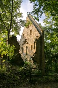 Klosterruine Disibodenberg-Weinbauregion Nahe Willkommen zum mystischen Kloster Disibodenberg, dessen Teil im Wald Sie auf diesem Bild bewundern können! Buchen Sie bei uns Touren durchs Nahetal und begeben Sie sich auf eine Reise in die Vergangenheit, um das Kloster und seine Geschichte zu erkunden. Tauchen Sie ein in die Ruhe und Stille des Waldes und spüren Sie die spirituelle Aura, die diesen Ort umgibt. Erfahren Sie mehr über das Leben der Mönche und Nonnen, die einst hier lebten, und lassen Sie sich von der Schönheit der Natur und der mystischen Atmosphäre des Klosters Disibodenberg verzaubern. Erleben Sie unvergessliche Momente, während Sie einen Teil des Klosters Disibodenberg im Wald betrachten und das Nahetal auf eine ganz besondere Art und Weise erleben.