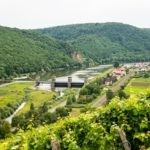 Niederhausen-Weinlehrpfad-Wandern an der Nahe Willkommen zum Weinlehrpfad in Niederhausen, wo Sie auf diesem Bild den imposanten Staudamm bewundern können! Buchen Sie bei uns Touren durchs Nahetal und erkunden Sie den faszinierenden Weinlehrpfad entlang des malerischen Flusses. Der Staudamm in Niederhausen ist ein beeindruckendes architektonisches Meisterwerk, das die Landschaft bereichert und gleichzeitig für die Wasserversorgung der Region sorgt. Während Sie das Bild betrachten, können Sie die Harmonie zwischen der Natur und der menschlichen Gestaltung bewundern. Erleben Sie unvergessliche Momente, während Sie den Staudamm am Weinlehrpfad in Niederhausen betrachten und die Schönheit des Nahetals in vollen Zügen genießen.