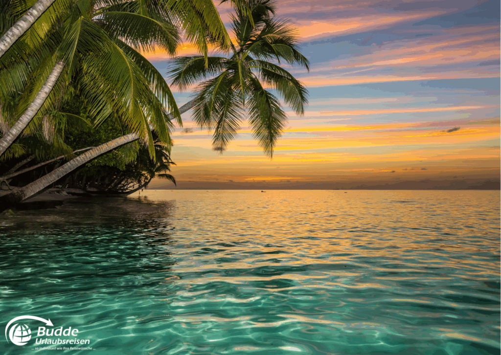 Urlaubsreise Paradies: Sonnenuntergang über einer ruhigen Wasseroberfläche mit Palmen im Vordergrund.