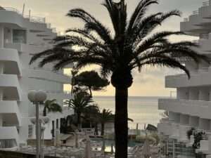Küstenblick mit Palmen und Hotels auf Mallorca