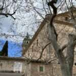 Historische Kirche in Valldemossa, Mallorca, hinter einem blattlosen Baum