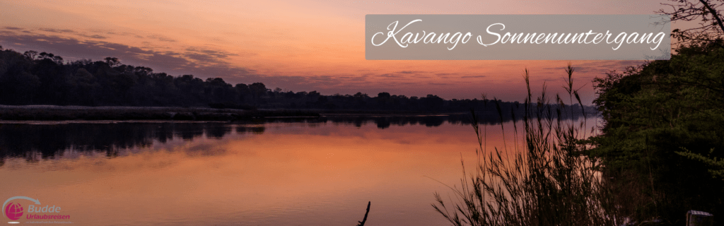 Magischer Sonnenuntergang am Kavango-Fluss Lassen Sie sich von den warmen Farbtönen dieses Sonnenuntergangs am Kavango-Fluss verzaubern. Dieses Bild fängt die friedvolle Atmosphäre ein, die Sie bei einer abendlichen Safari oder beim entspannten Verweilen am Ufer erleben können. Ein wahrhaft malerischer Abschluss eines jeden Tages in Namibia. Erleben Sie die Vielfalt der Tierwelt, von majestätischen Elefanten bis zu eleganten Antilopen, während Sie von Namibia ins Okavango-Delta reisen.