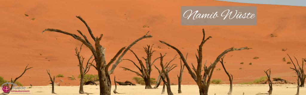 Stille Schönheit der Namib-Wüste Eintauchen in die unendliche Ruhe der Namib-Wüste. Dieses Bild fängt die zeitlose Essenz von Deadvlei ein, mit seinen ikonischen abgestorbenen Akazien vor der Kulisse der leuchtend roten Dünen. Ein Muss für jeden Namibia-Reisenden, der die Stille und Erhabenheit der ältesten Wüste der Welt erleben möchte. Erkunden Sie die vielfältigen Ökosysteme beider Regionen, von den trockenen Wüsten Namibias bis zu den überschwemmten Ebenen des Okavango-Deltas.