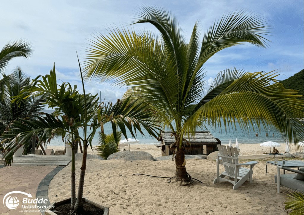 Palmen und Strand im Anse Marcel Beach Hotel