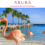 Flamingos am Strand von Aruba