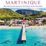 Ansicht der Stadt und der Küste von Martinique