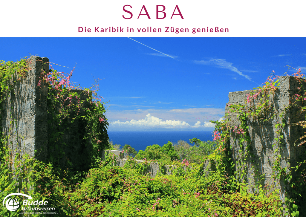 Üppige Vegetation und Aussicht auf das Meer auf Saba