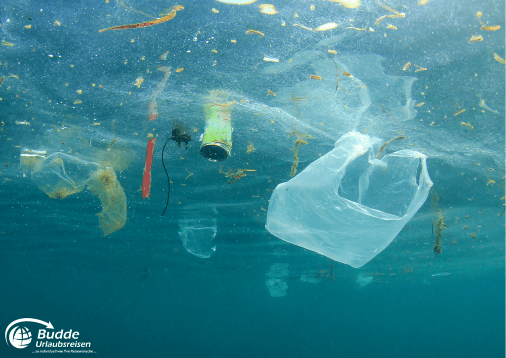 Plastikmüll, der im Meer treibt, darunter Plastiktüten und Dosen.