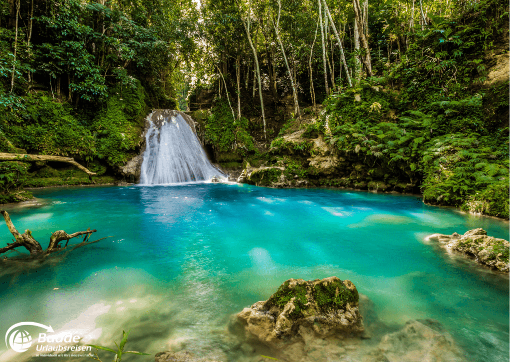 Ein Wasserfall in Jamaika mit klarem, türkisfarbenem Wasser und umgebender Vegetation.