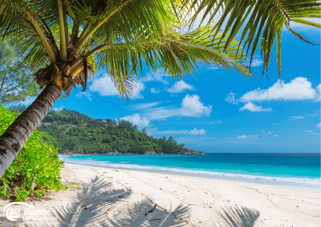 Urlaubsreisen Strand mit Palmen und klarem Wasser in Jamaika, unter blauem Himmel mit wenigen Wolken.
