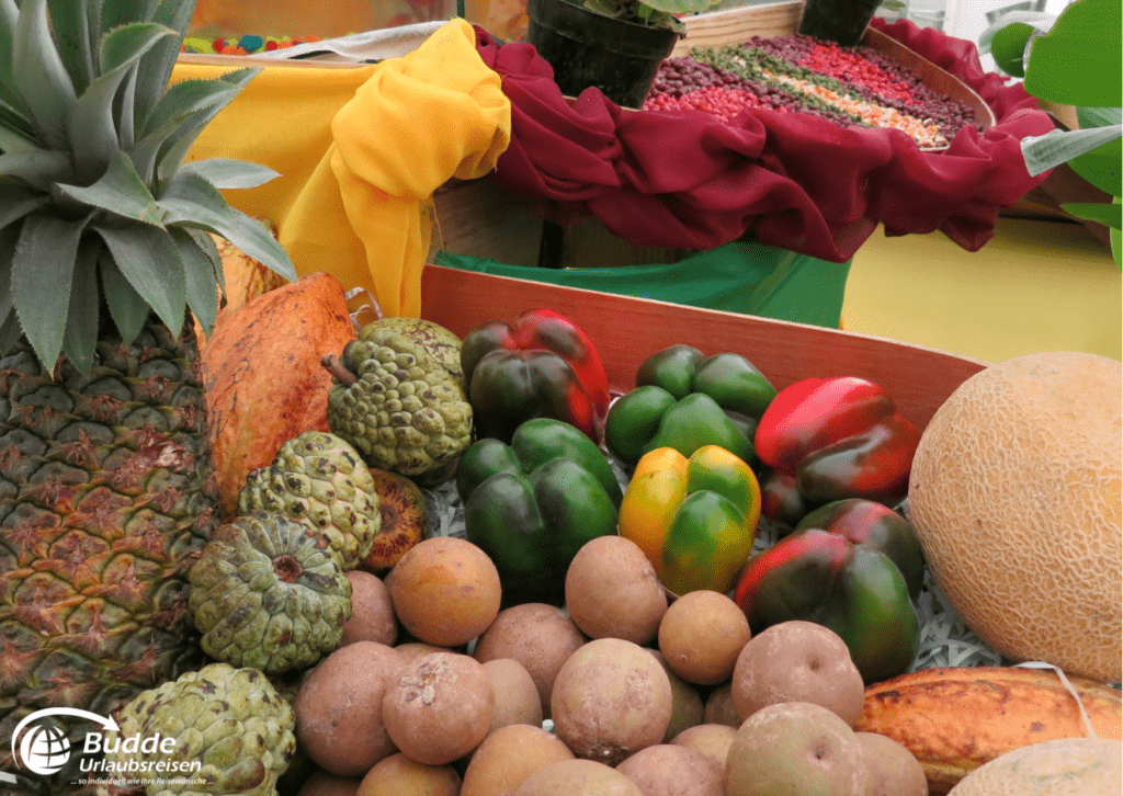 Frisches tropisches Obst und Gemüse auf einem Marktstand – Karibikurlaub Jamaica