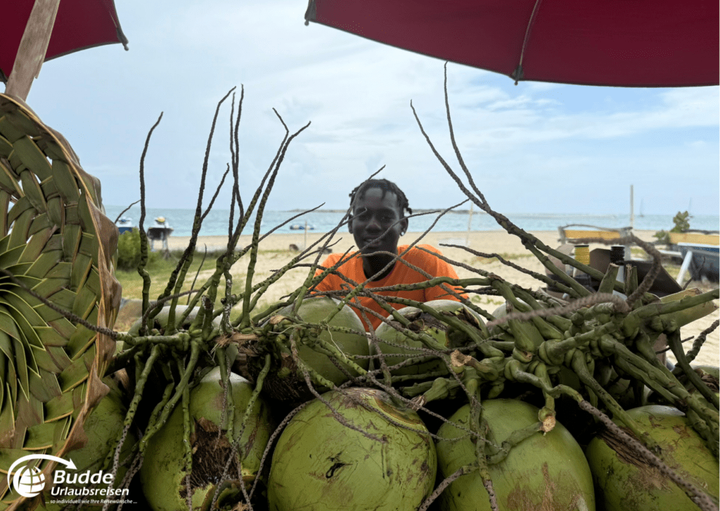 Reiseerfahrungen Saint Martin: Eine Frau verkauft Kokosnüsse am Strand, angeboten von Budde Urlaubsreisen.