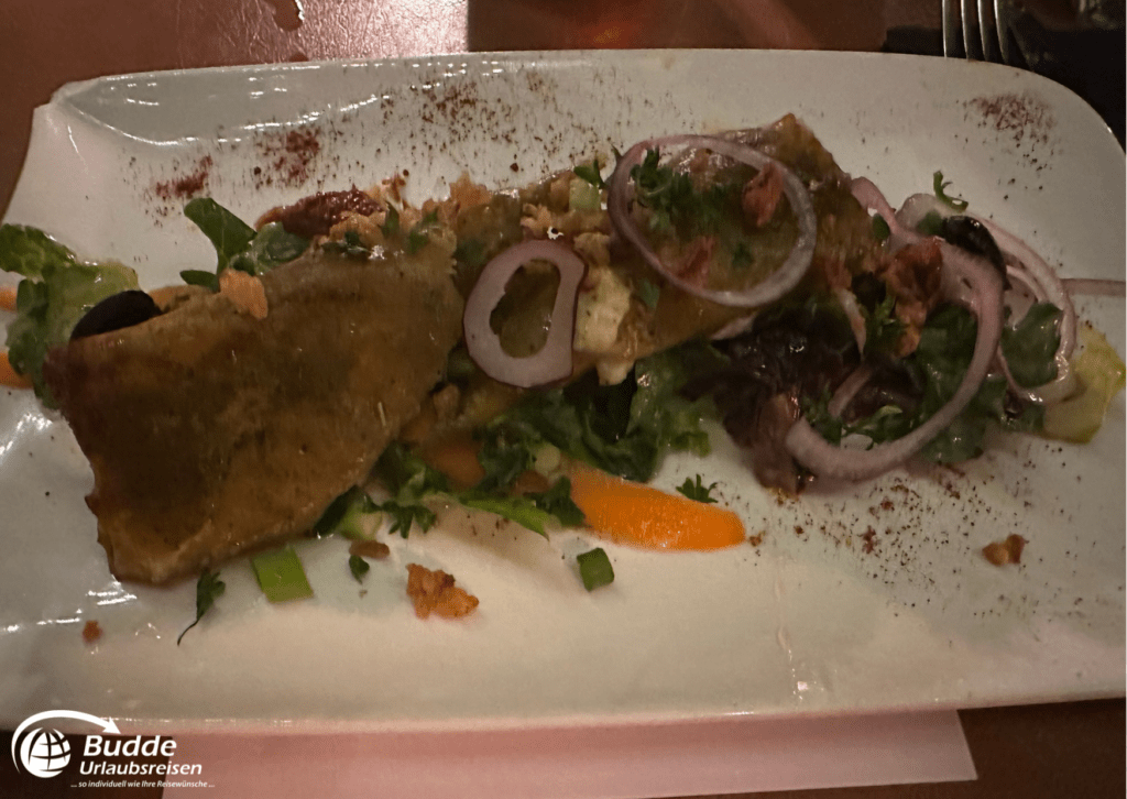 Urlaubsreisen Ein Teller mit gefüllter Tortilla, frischem Salat und Zwiebelringen auf einem weißen Geschirr.