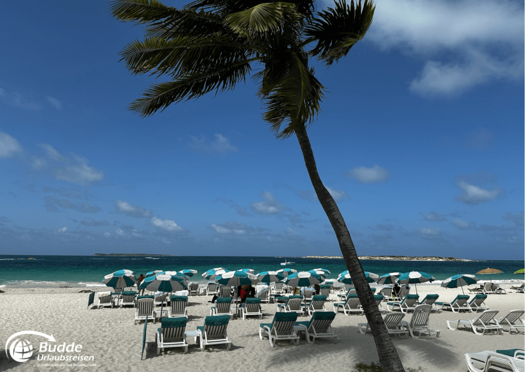 Ein ruhiger Strand mit weißen Liegen und Sonnenschirmen vor einem klaren, blauen Himmel auf Saint Martin.