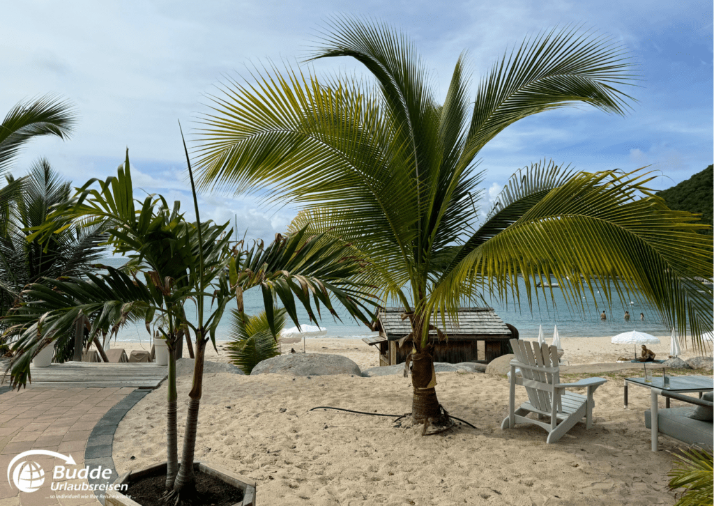Urlaubsreisen Zwei Palmen auf einem Sandstrand mit Blick auf das Wasser und den Himmel in Anse Marcel, Saint Martin.
