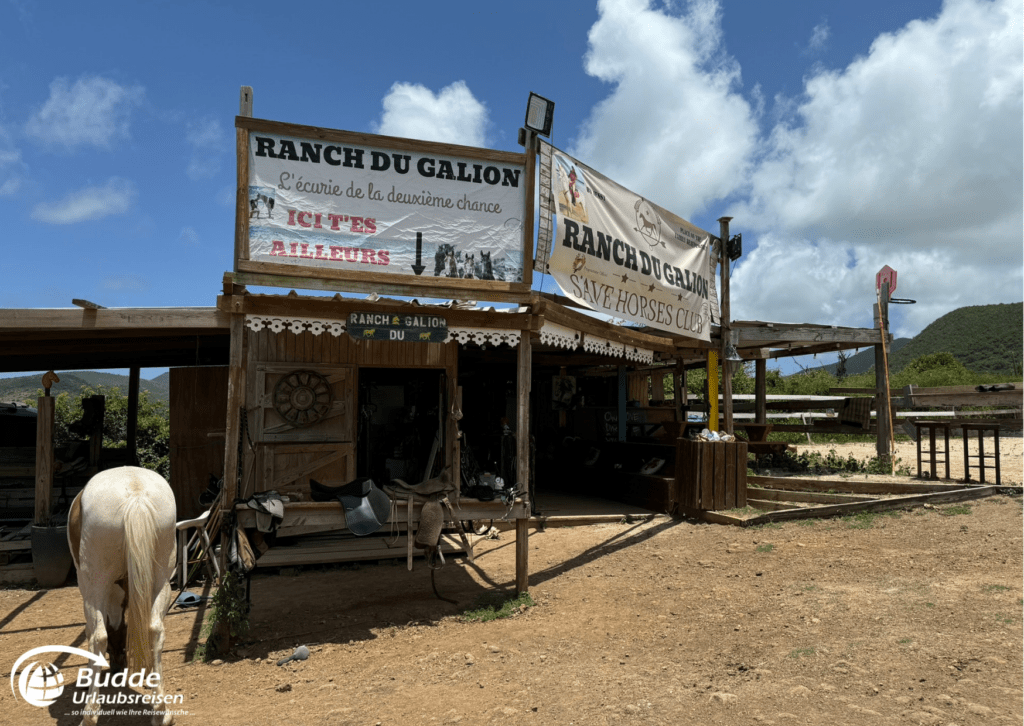 Eingang der Ranch du Galion auf Saint Martin für Reiten am Strand.