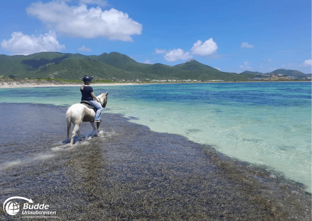 Reiterin auf einem Pferd am Strand von Sankt Martin.