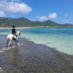 Reiterin auf einem Pferd am Strand von Sankt Martin.