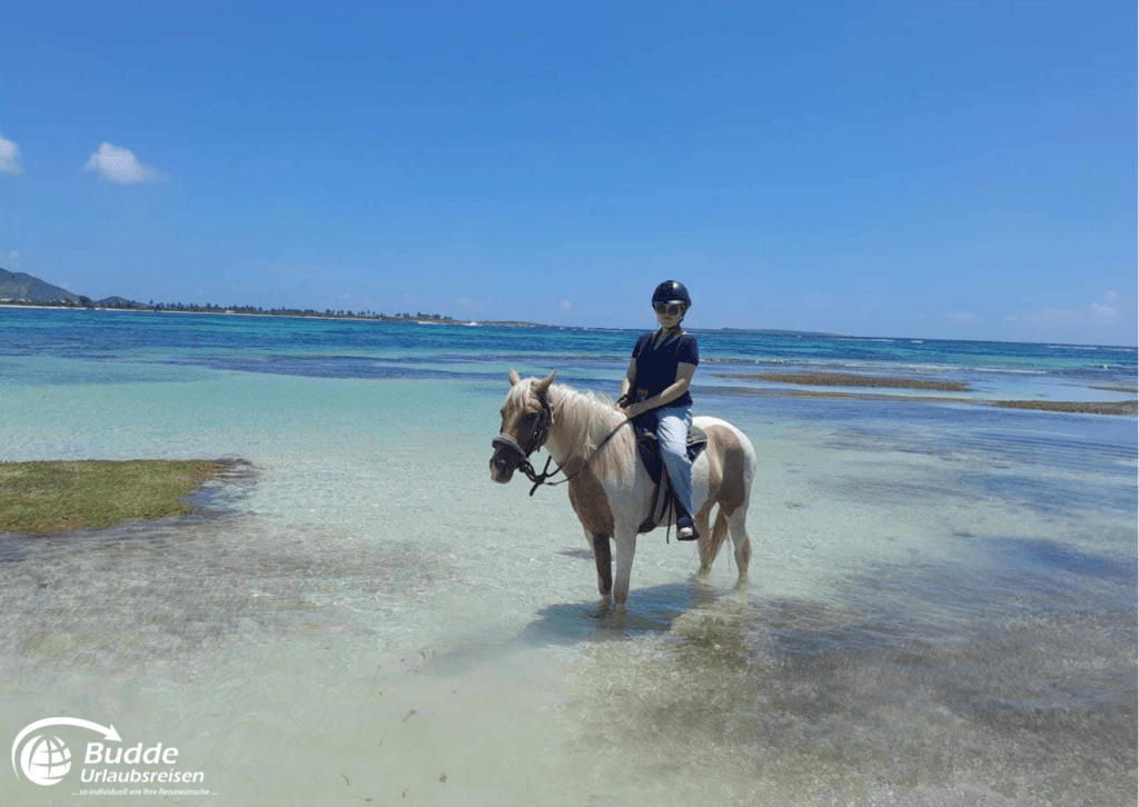 Reiterin auf einem Pferd am Strand, umgeben von klarem Wasser.