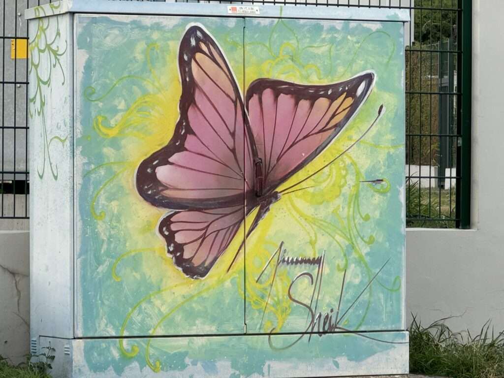 Streetart auf Saint Martin - Schmetterling