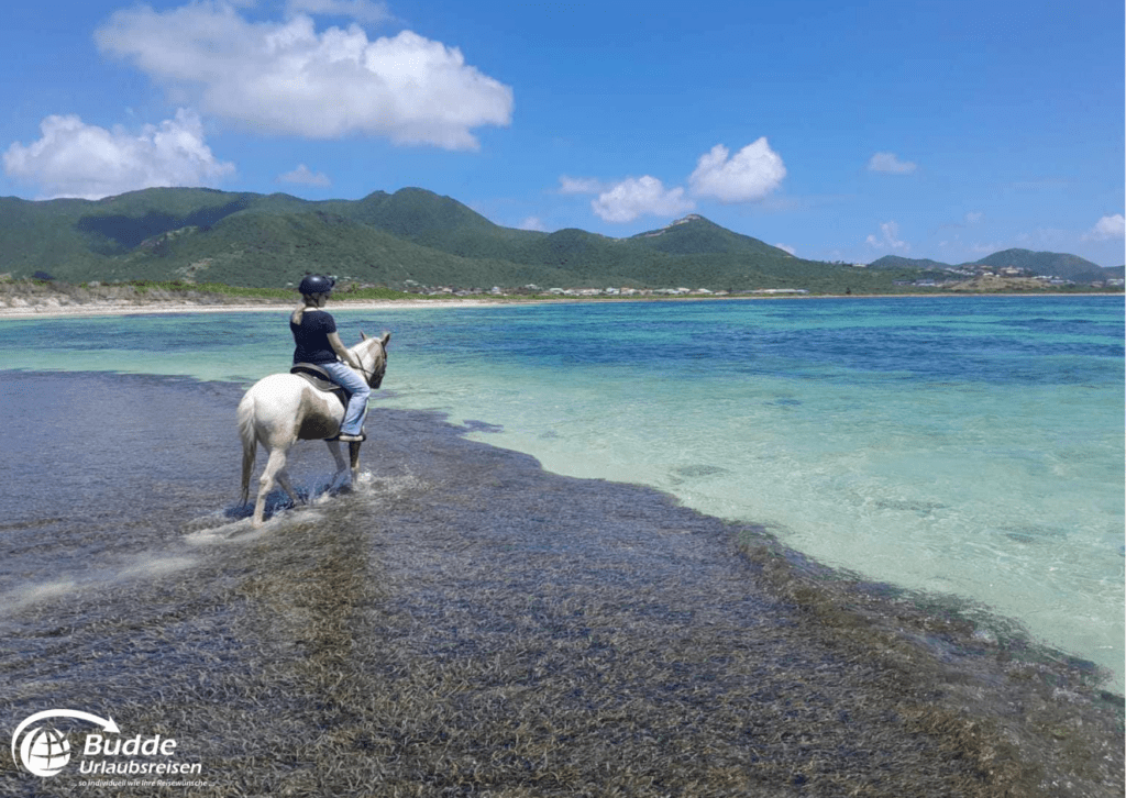 Warum uns Urlaub glücklich macht - Reiten am Strand