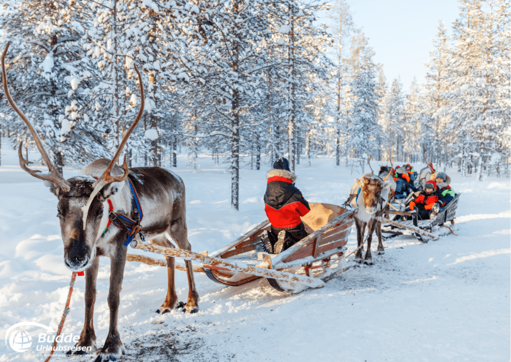 Reiseziele Januar 2025 – Lappland, Rentier-Safari, Winterurlaub