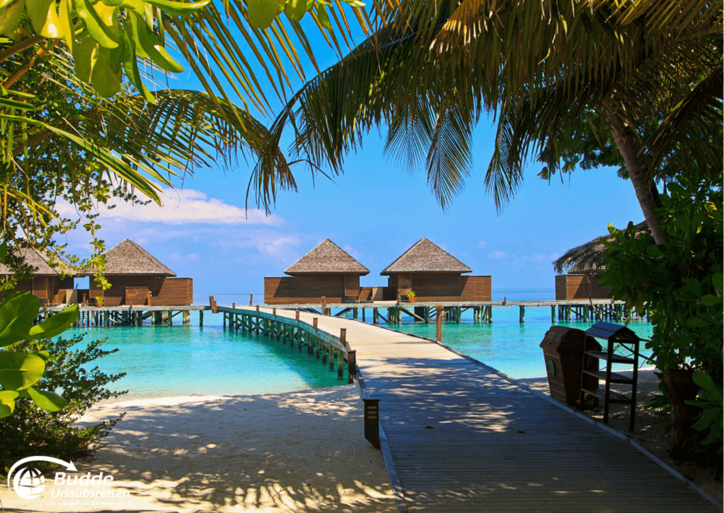 Reiseziele Januar 2025 – Malediven, Urlaub im Paradies über dem Wasser