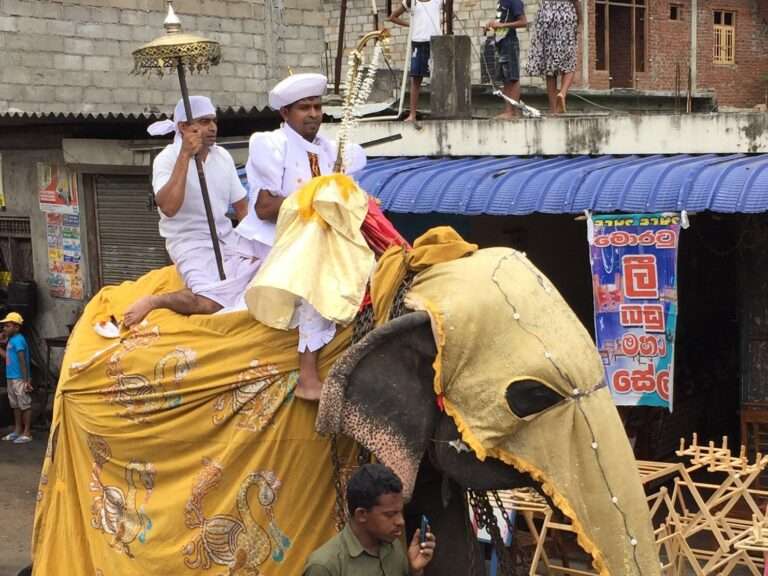 Asien 2024 - Zwei Männer in traditioneller Kleidung auf einem geschmückten Elefanten während einer Parade in Sri Lanka.