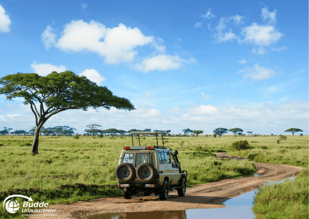 Safari-Jeep in der Serengeti, einer der besten Safariparks in Afrika - Reisebüro Bad Kreuznach