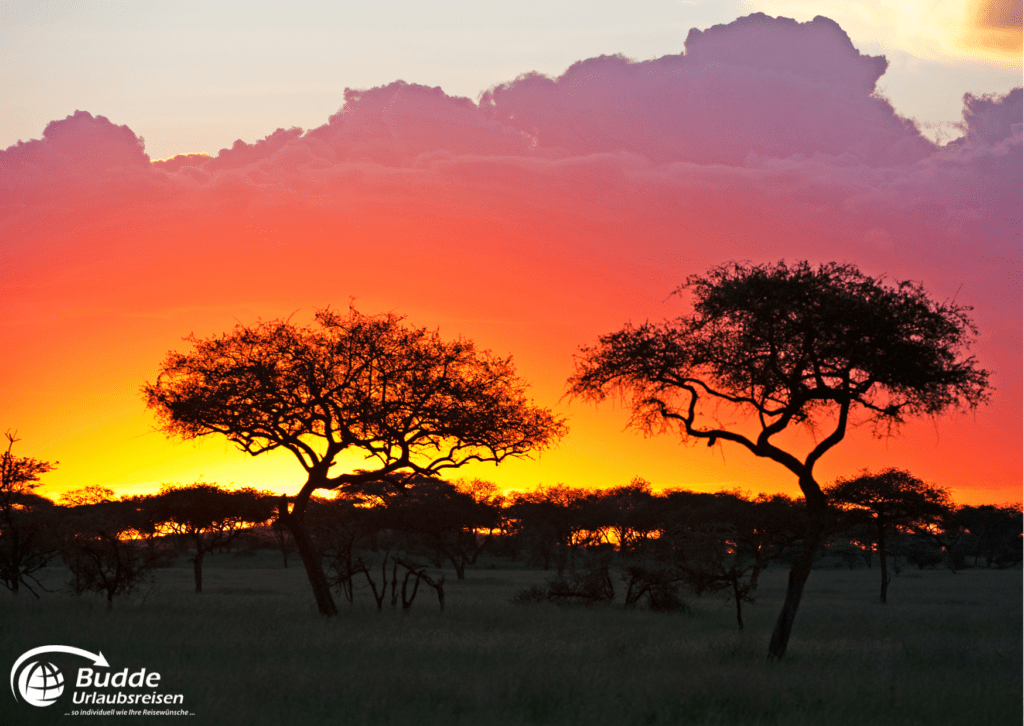 Atemberaubender Sonnenuntergang in der Serengeti, Afrika - Urlaubsreisen vom Reisebüro Bad Kreuznach