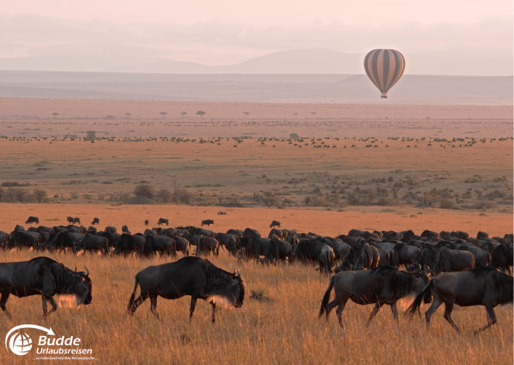 Zebras und Antilopen in der Masai Mara, "Beste Safariparks Afrika", Urlaubsreisen, Reisebüro Bad Kreuznach.