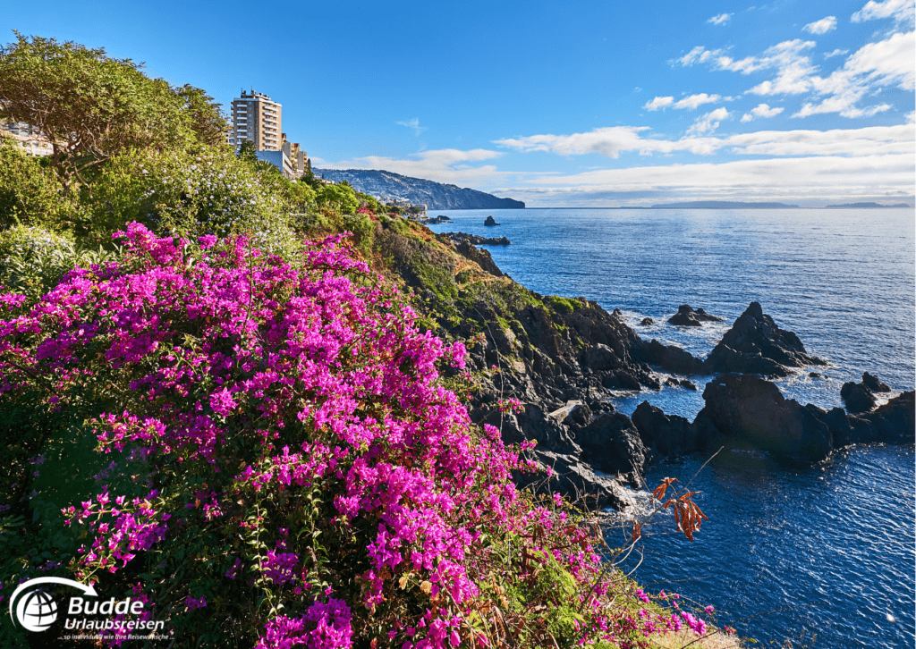 Reiseziele Februar 2025 - Klippen auf Sao Martinho in Funchal, Madeira im Winter