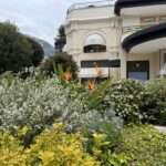 Monte Carlo erleben: Luxusboutiquen und gepflegte Gartenanlagen