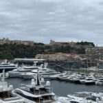 Tagesausflug Monaco ab Nizza: Blick auf den Yachthafen von Monaco