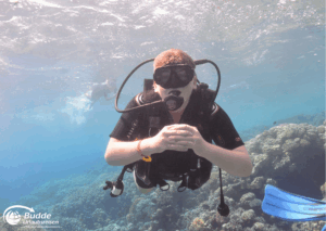 Ägypten Urlaub: Taucher mit Schnorchel-Ausrüstung schwimmt unter Wasser in einem Korallenriff. - buchbar im Reisebüro Budde Urlaubseisen
