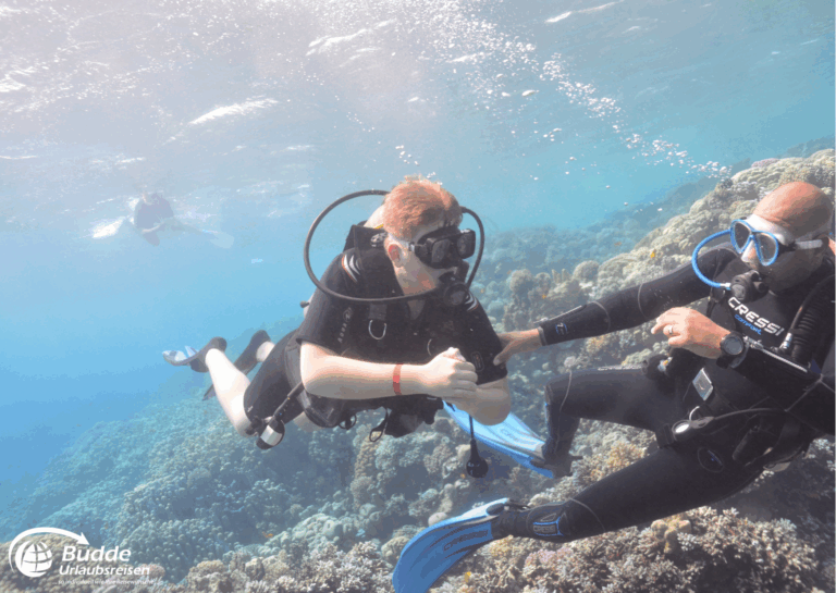 Ägypten Urlaub: Zwei Taucher im Roten Meer mit Korallen im Hintergrund während eines Tauchgangs. - buchbar im Reisebüro Budde Urlaubseisen