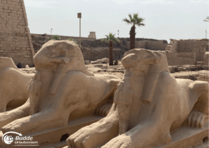 Ägypten Urlaub: Zwei Löwenskulpturen mit menschlichen Köpfen, die in Luxor, Ägypten, zu sehen sind. - buchbar im Reisebüro Budde Urlaubseisen