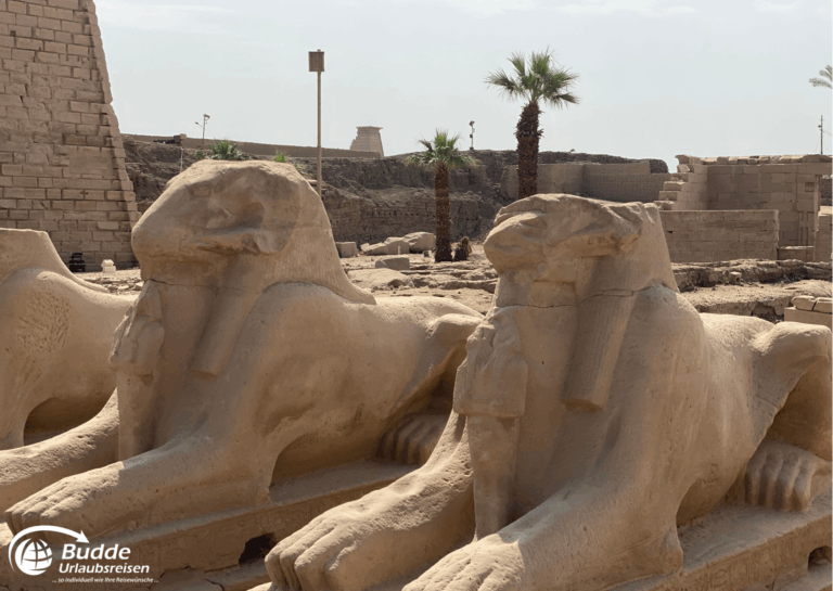 Ägypten Urlaub: Zwei Löwenskulpturen mit menschlichen Köpfen, die in Luxor, Ägypten, zu sehen sind. - buchbar im Reisebüro Budde Urlaubseisen