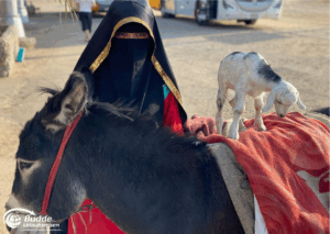 Ägypten Urlaub: Eine Frau in traditioneller Kleidung steht neben einem Esel, auf dem ein Zicklein sitzt. - buchbar im Reisebüro Budde Urlaubseisen