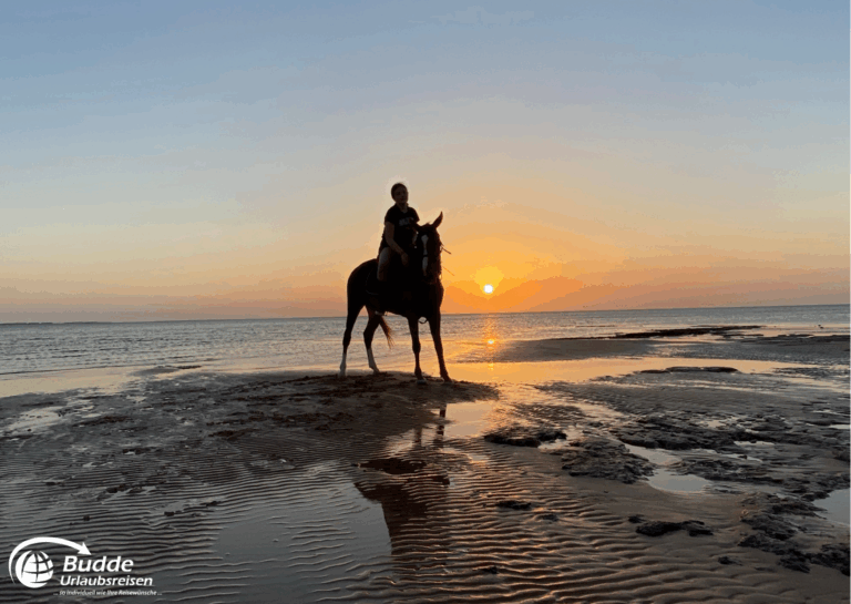 Ägypten Urlaub: Reiterin sitzt auf einem Pferd am Strand während eines Sonnenuntergangs über dem Wasser. - buchbar im Reisebüro Budde Urlaubseisen