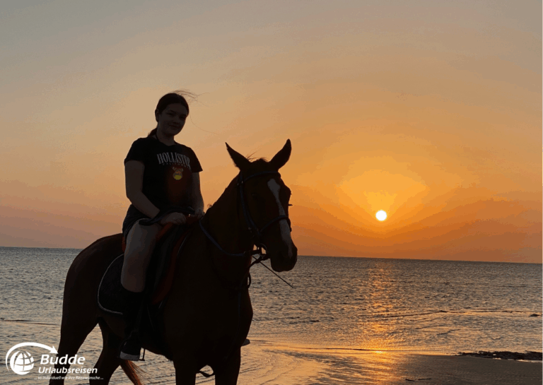 Ägypten Urlaub: Eine Reiterin sitzt auf einem Pferd am Strand während des Sonnenuntergangs mit orangefarbenem Himmel. - buchbar im Reisebüro Budde Urlaubseisen