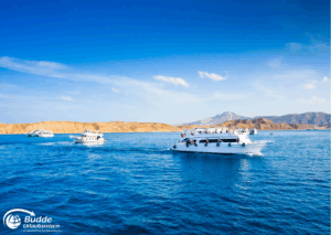 Ägypten Urlaub: Mehrere Segelyachten fahren auf dem blauen Wasser vor einer Küstenlandschaft in Ägypten. - buchbar im Reisebüro Budde Urlaubseisen