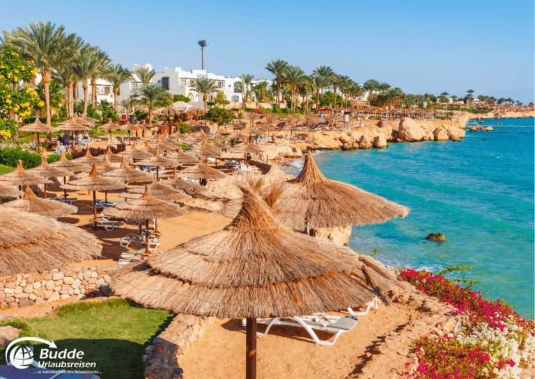 Ägypten Urlaub: Strandansicht mit Sonnenschirmen und Liegen am Wasser in Sharm el-Sheikh, Ägypten. - buchbar im Reisebüro Budde Urlaubseisen