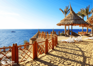 Ägypten Urlaub: Strandlandschaft mit Sonnenschirmen, Liegen und Blick auf das Meer unter blauem Himmel. - buchbar im Reisebüro Budde Urlaubseisen