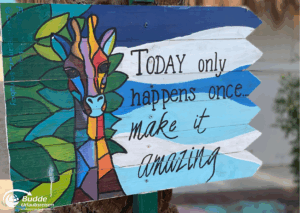 Ägypten Urlaub: Buntes Holzschild mit einer Giraffe und dem Spruch 'Today only happens once... make it amazing'. - buchbar im Reisebüro Budde Urlaubseisen