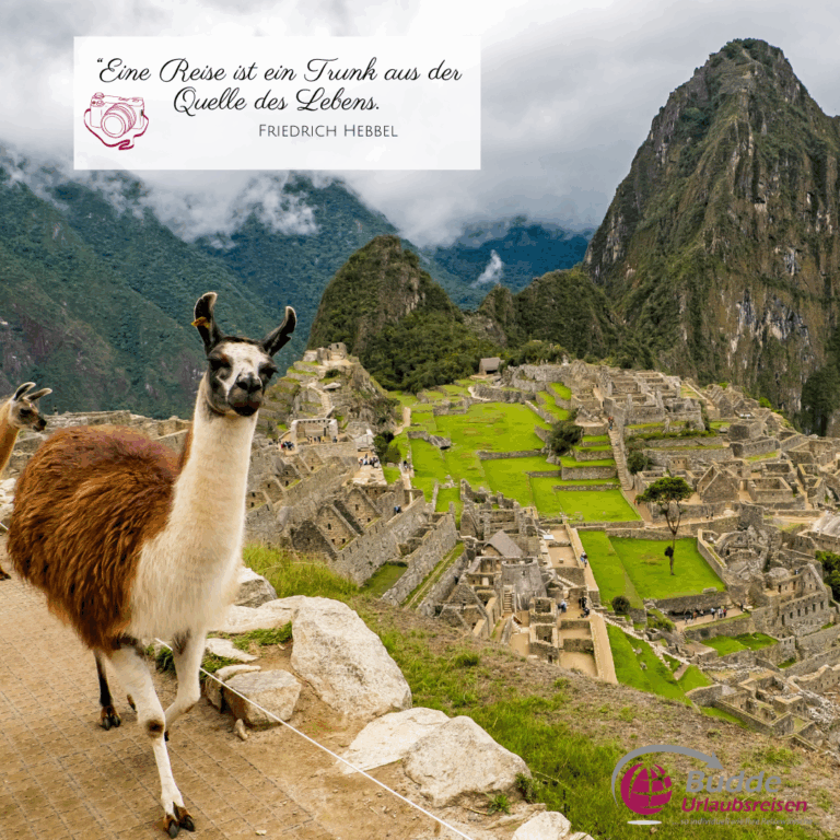 Lamas vor Machu Picchu – Reiseanfrage stellen für deine Südamerika-Rundreise bei Budde Urlaubsreisen