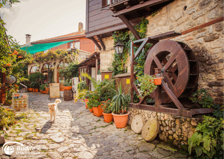 Liebesurlaub Bulgarien – romantische Altstadtgasse mit Hund und Wasserrad.