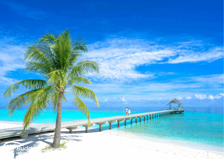 Diamir Erlebnisreisen Holzsteg, der über das Wasser führt, mit einer Palme im Vordergrund auf den Fiji-Inseln. - buchbar im Reisebüro Budde Urlaubseisen